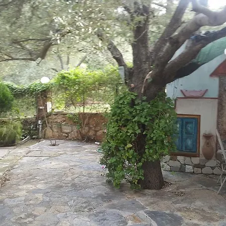 Kizilagac Ciftlik Evi Pensiune agroturistice