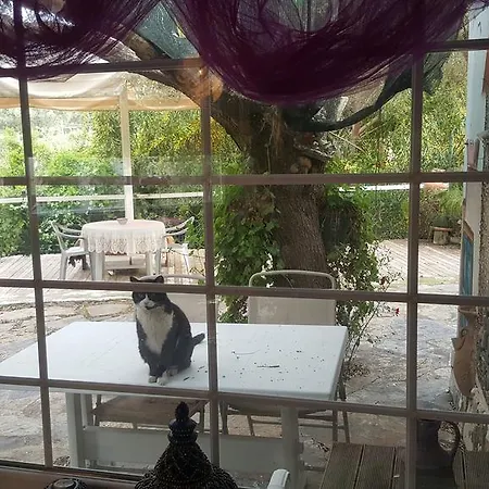 Kizilagac Ciftlik Evi Pensiune agroturistice Yaliciftlik